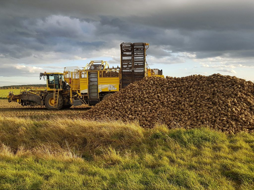Ein großer Holzstapel auf einer sattgrünen Wiese